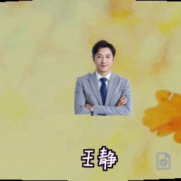 王静